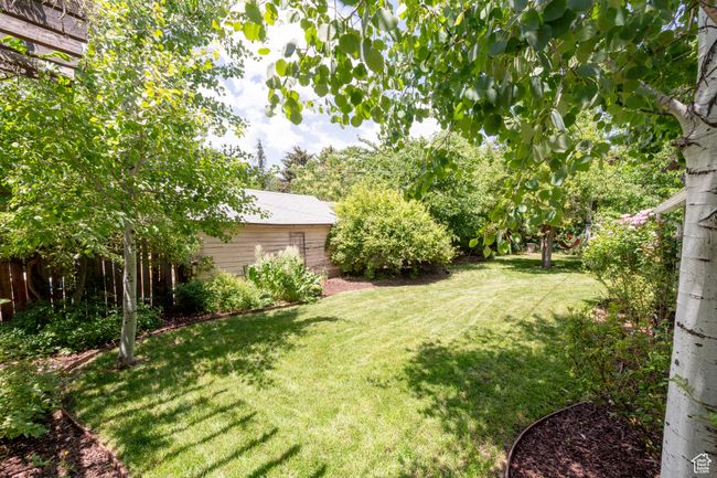 View of yard | Image 24