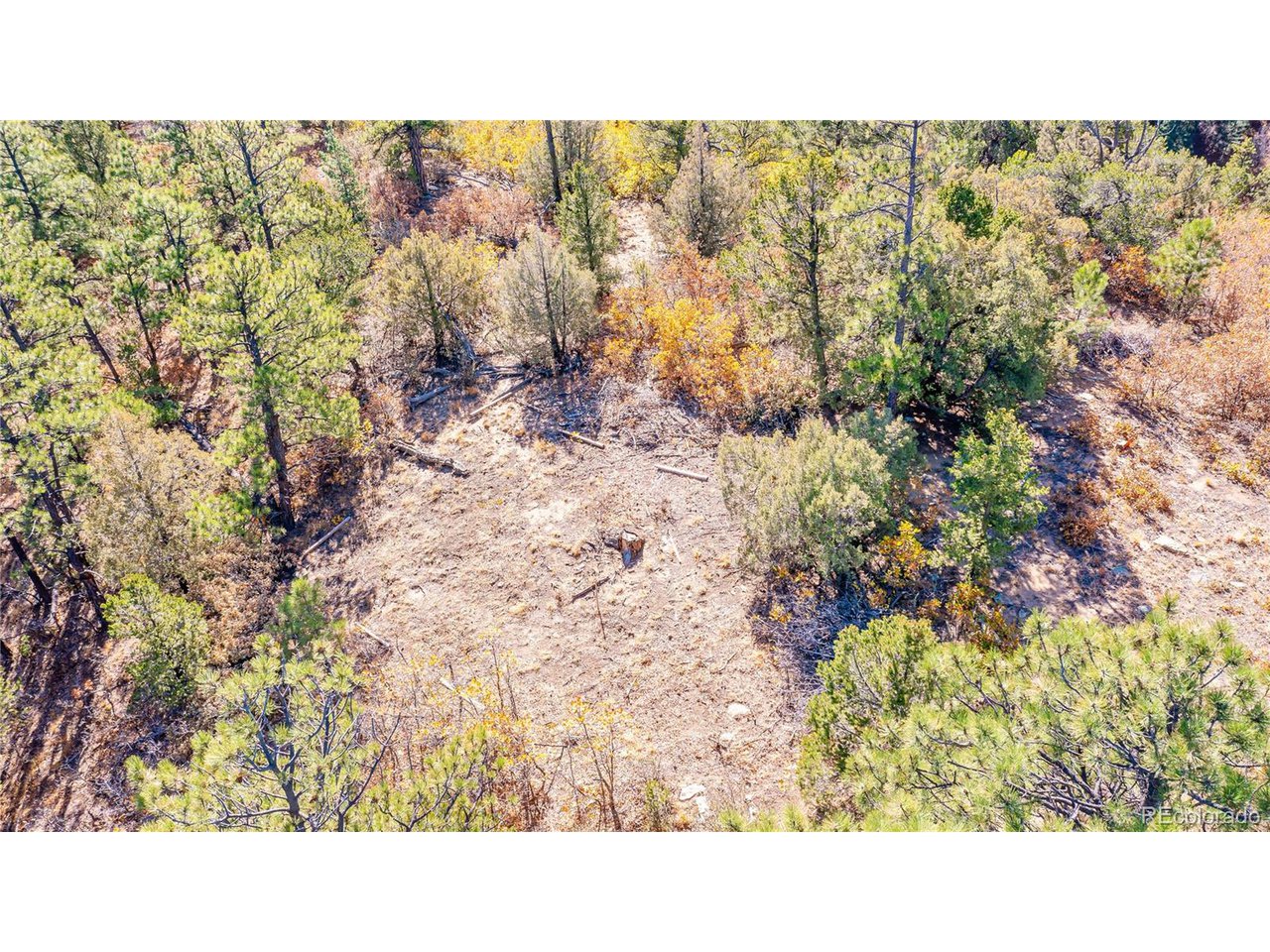 Land in Weston 3