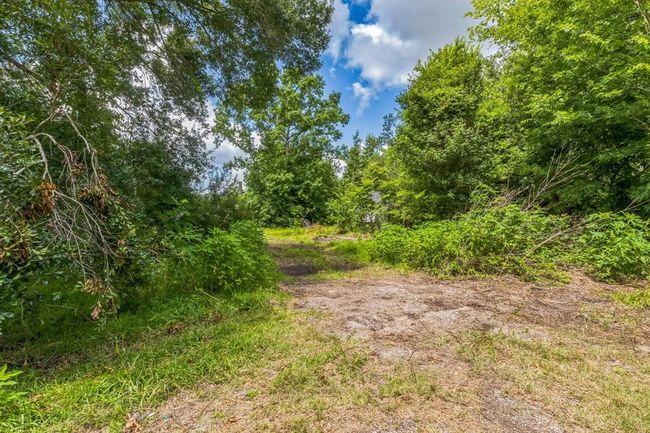 0 Davis Bend Rd, Home with 0 bedrooms, 0 bathrooms and null parking in Alvin TX | Image 29