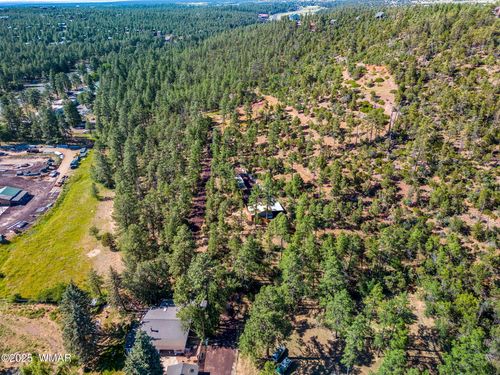 TBD Ellsworth Rd, Show Low, AZ, 85901 | Card Image