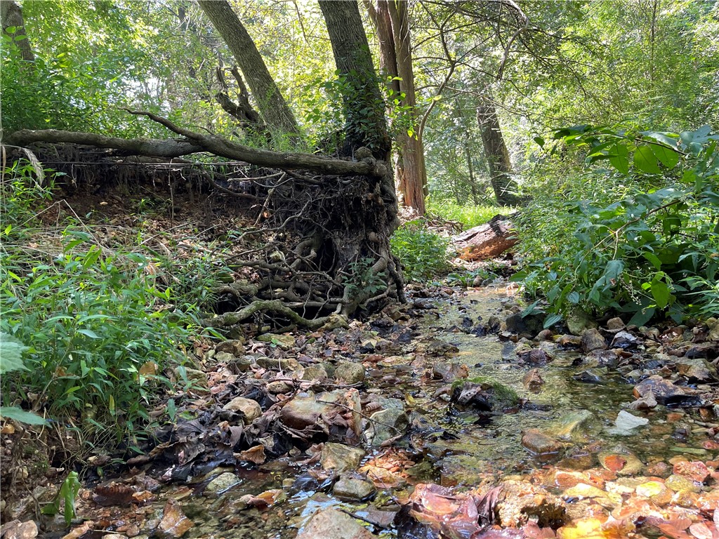 Land in Siloam Springs 4