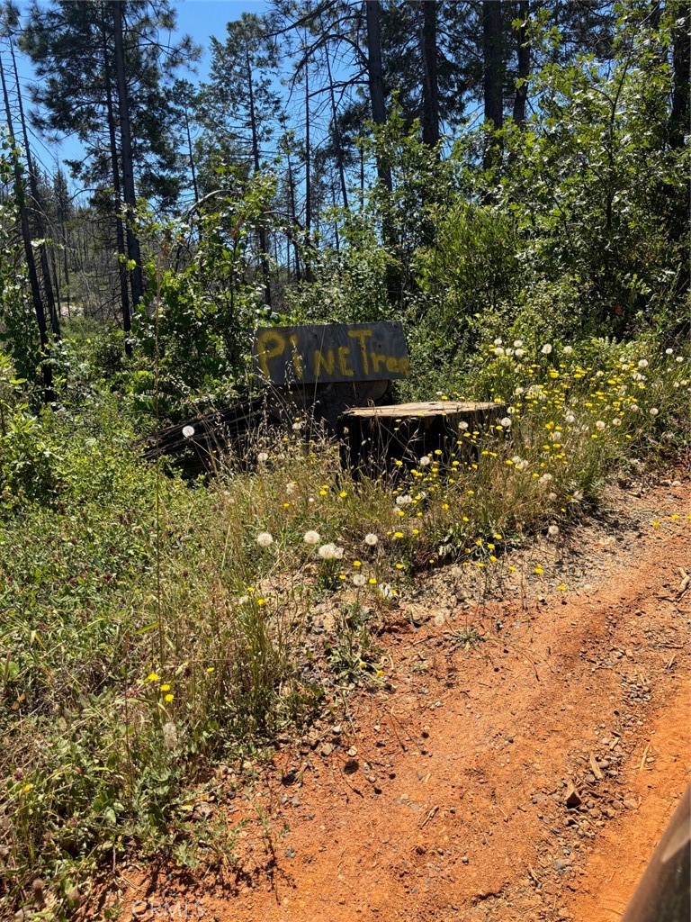 Land in Berry Creek