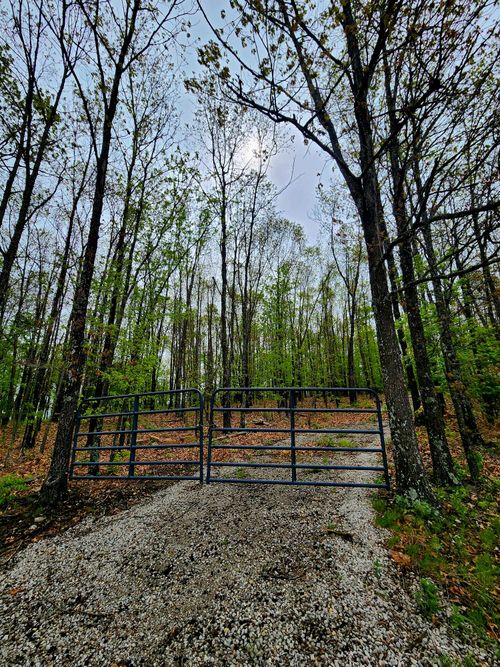000 State Hwy W, Ava, MO, 65608 | Card Image