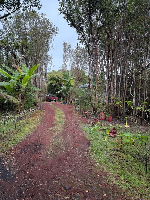 18-4134 Mauna Loa Dr, VOLCANO, HI, 96785 | Card Image