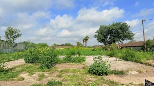 3921 S Alamo Road, Alamo, TX, 78542 | Card Image