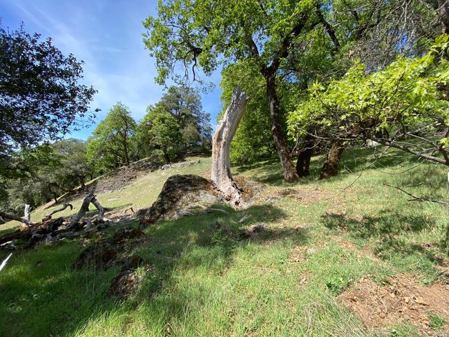 19010 Hulbert Rd, Home with 0 bedrooms, 0 bathrooms and null parking in Yorkville CA | Image 22