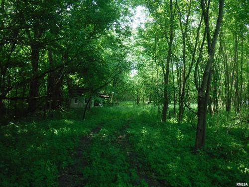 400 W Cross Street, Kinmundy, IL, 62854 | Card Image