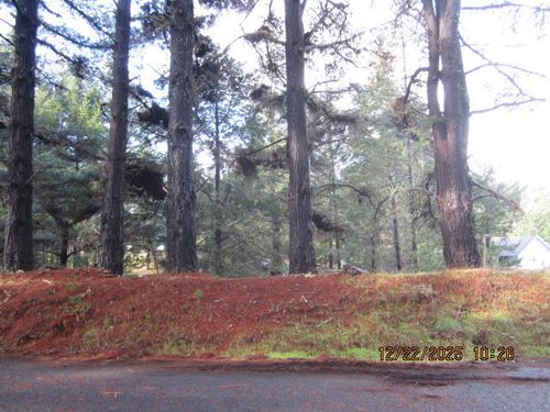 40 Cove View Drive, Shelter Cove, CA, 95589 | Card Image