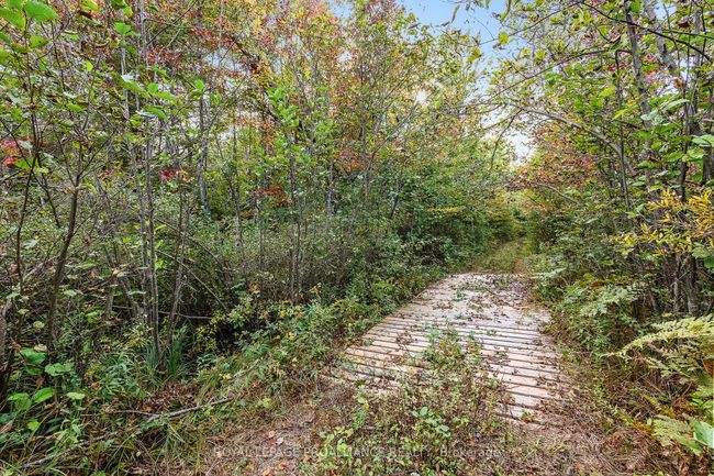 00 Highway 41, Home with 0 bedrooms, 0 bathrooms and null parking in Kaladar ON | Image 9
