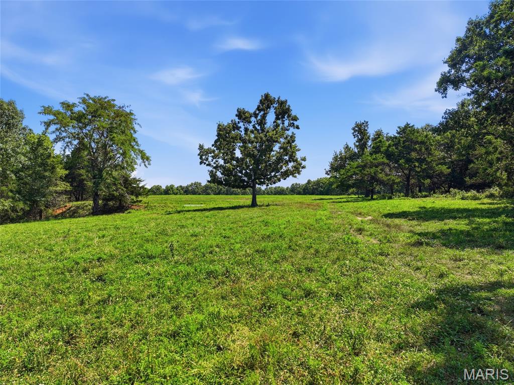Land in Dixon 3