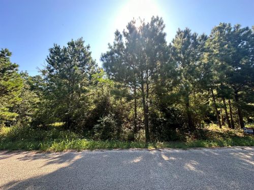 0 Alum Creek Rd, Smithville, TX, 78957 | Card Image
