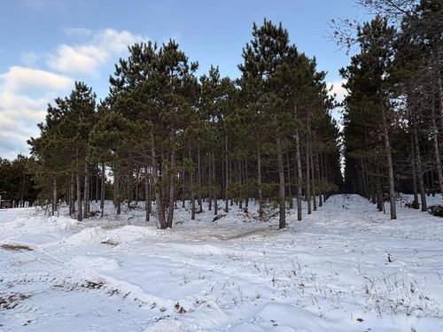 West 10 Acres Wilderness Lane, Saratoga, WI, 54494 | Card Image