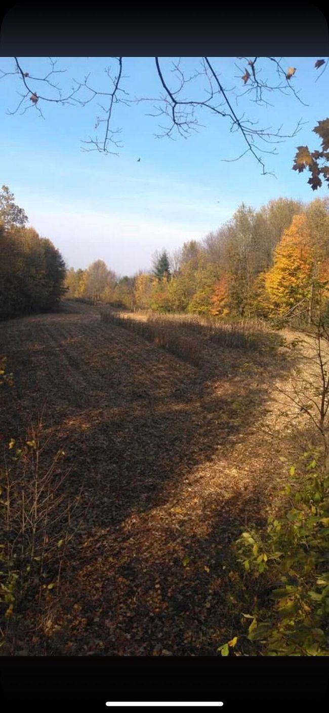 00000 County Road 673, Home with 0 bedrooms, 0 bathrooms and null parking in Lawrence MI | Image 5