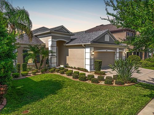 11429 Drifting Leaf Dr, RIVERVIEW, FL, 33579-0002 | Card Image