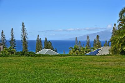 308 Cook Pine Dr, Home with 0 bedrooms, 0 bathrooms and null parking in Lahaina HI | Image 3