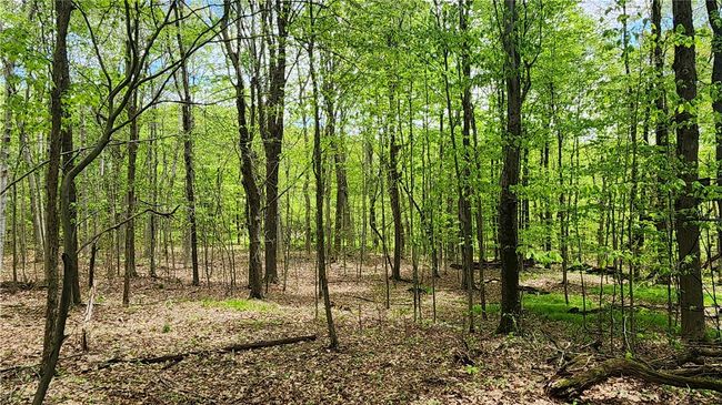 6291 Burke Rd, Home with 0 bedrooms, 0 bathrooms and null parking in Prattsburgh NY | Image 13