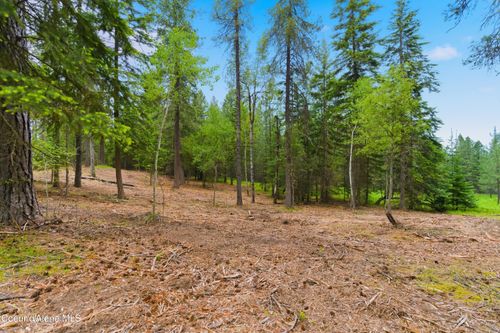 Parcel C S Dunlap Rd, Harrison, ID, 83833 | Card Image