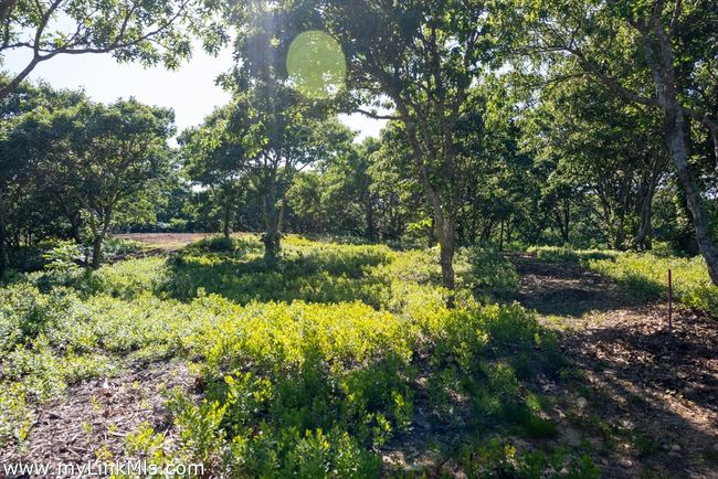 4 Cedar Ln, Home with 0 bedrooms, 0 bathrooms and null parking in Chilmark MA | Image 7