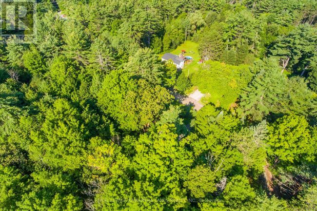 Lt 33 Benson Blvd, Home with 0 bedrooms, 0 bathrooms and null parking in Coboconk ON | Image 15
