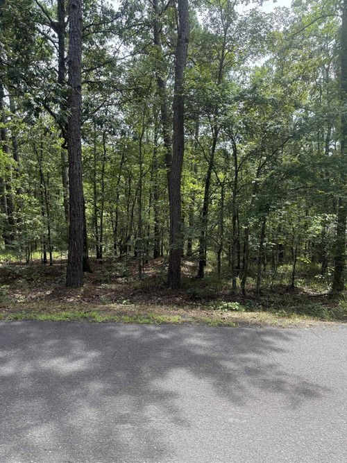 14 Ola Way, Hot Springs Village, AR, 71909 | Card Image
