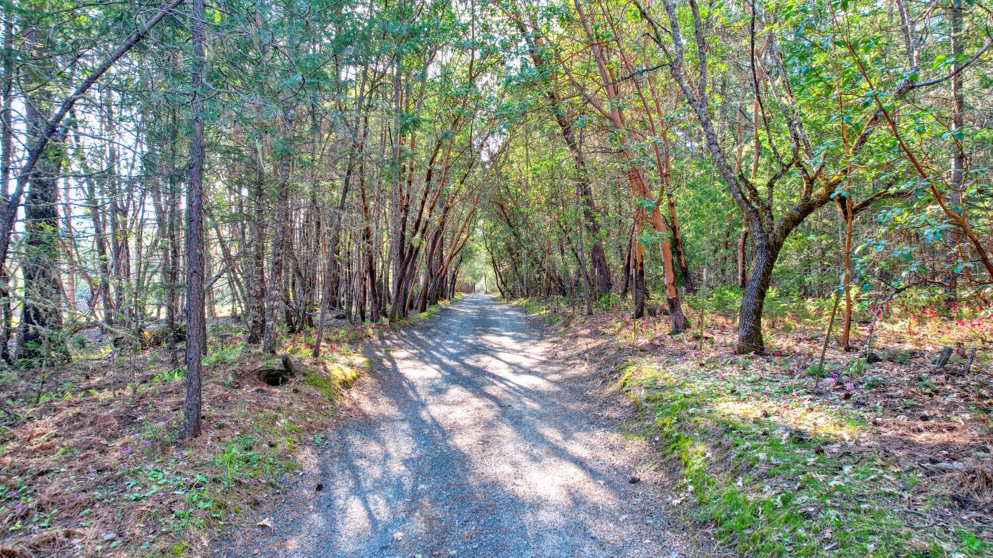 Land in Grants Pass 2