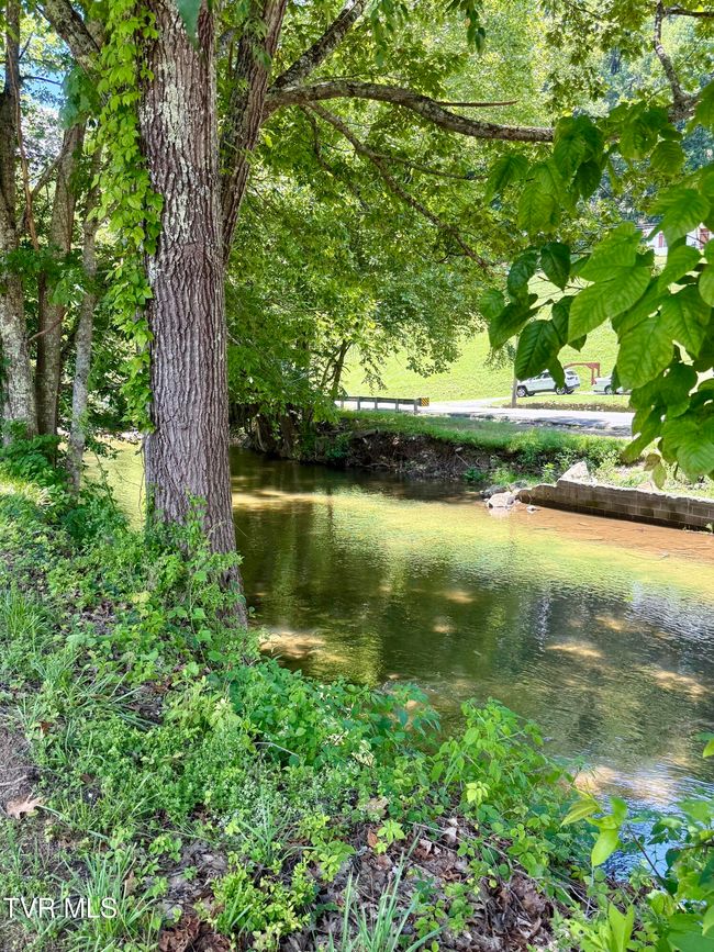 123 Mcmahan Gibbs Rd, House other with 2 bedrooms, 2 bathrooms and null parking in Roan Mountain TN | Image 79