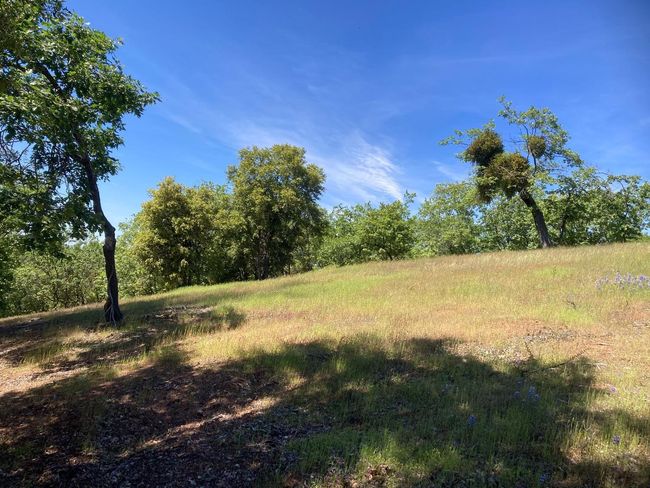 16688 Sonshine Ln, Home with 0 bedrooms, 0 bathrooms and null parking in Sutter Creek CA | Image 42