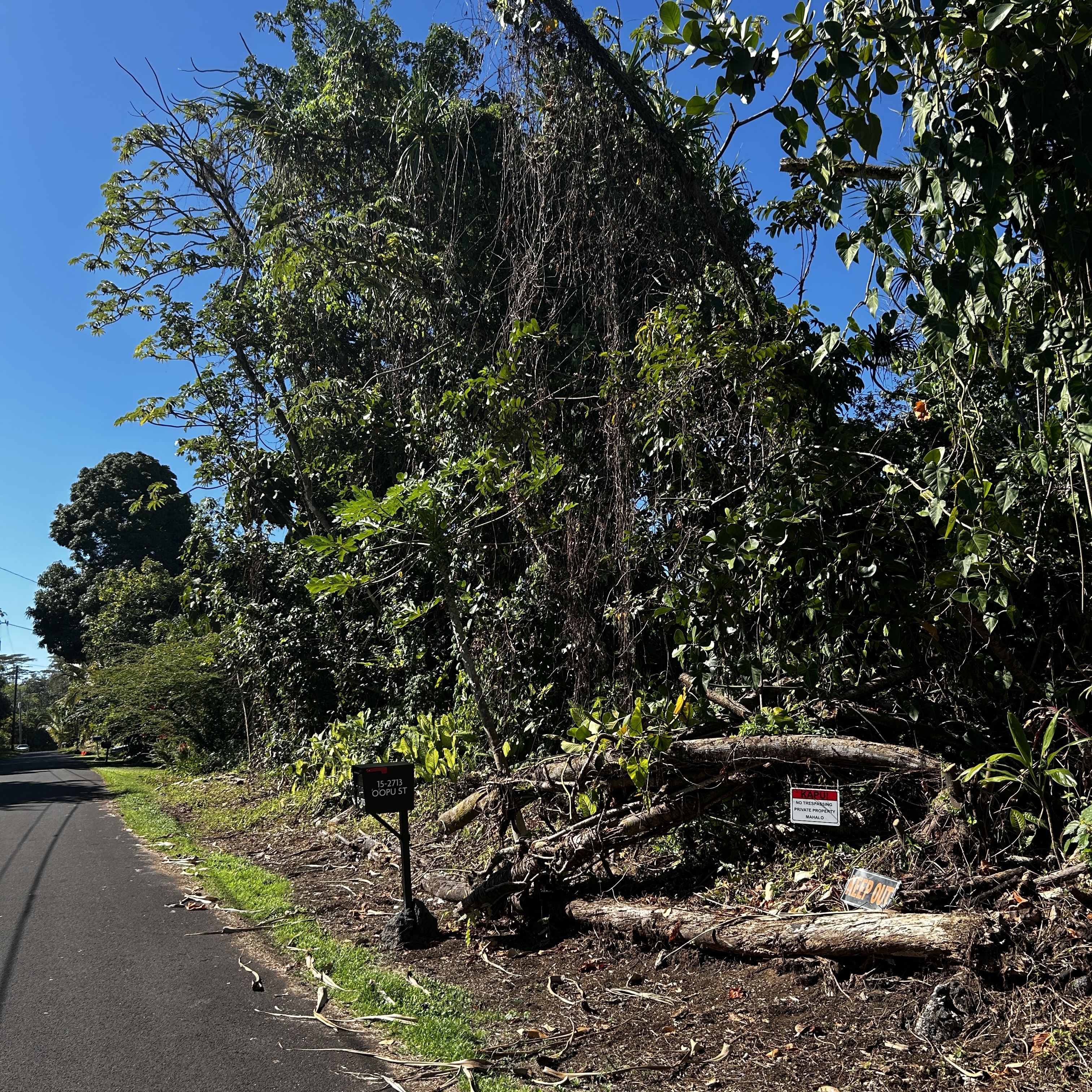 Land in Pahoa 2