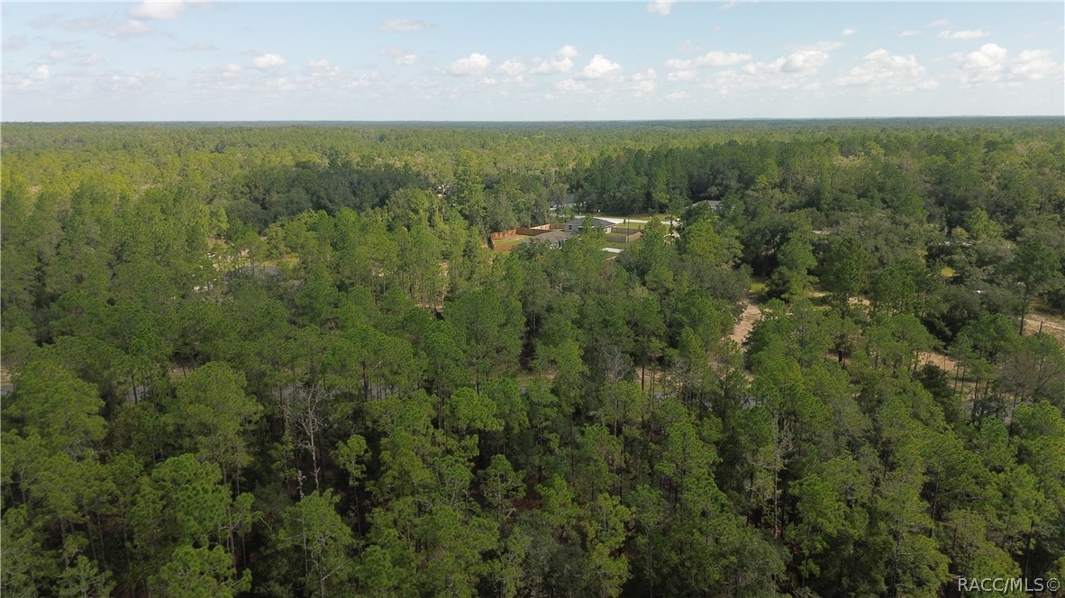Land in Citrus Springs 3