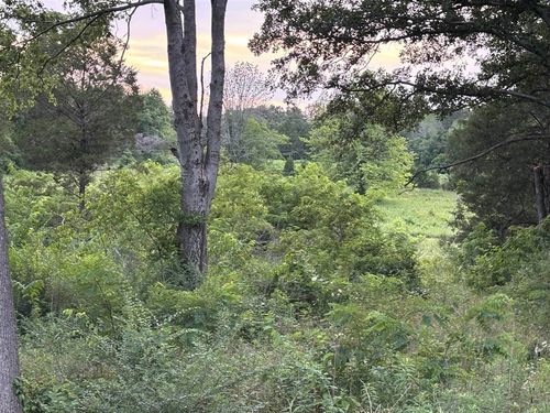 Lot 5 Pig Road, Smiths Grove, KY, 42171 | Card Image
