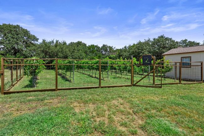 A standout feature is the established personal vineyard, ready for you to enjoy your winemaking hobby | Image 34
