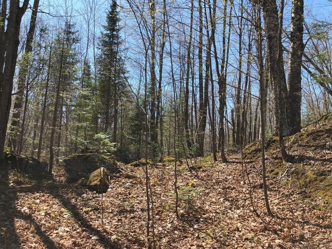 Lot 35 N Alpine Dr, Home with 0 bedrooms, 0 bathrooms and null parking in Upson WI | Image 11
