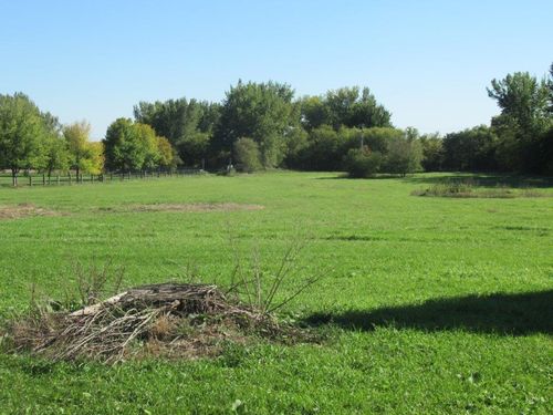 14 Church Avenue, Hills, MN, 56138 | Card Image