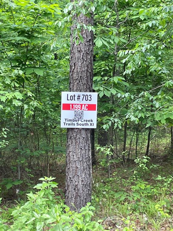 Land in Broken Bow 2
