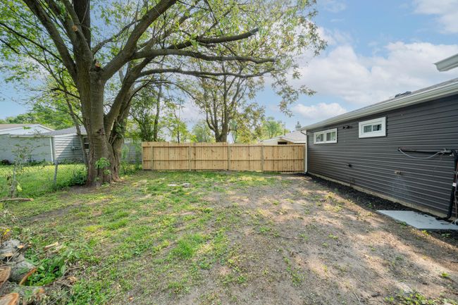 Back 2 | Image 14