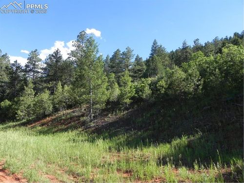8117 Acoma Dr, Larkspur, CO, 80118-8504 | Card Image