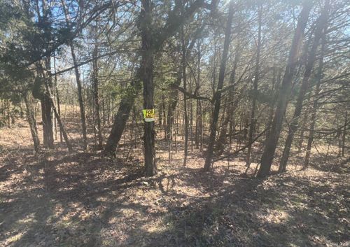 203 Fairway Dr, Horseshoe Bend, AR, 72512 | Card Image