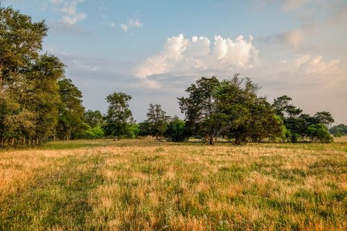 196 Willy Rd, Bastrop, TX, 78602-3350 | Card Image
