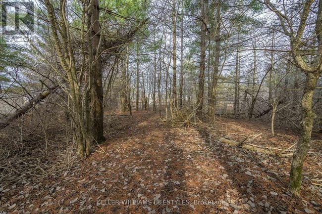 A22 - 4838 Switzer Dr, House other with 2 bedrooms, 2 bathrooms and 5 parking in Middlesex Centre ON | Image 17