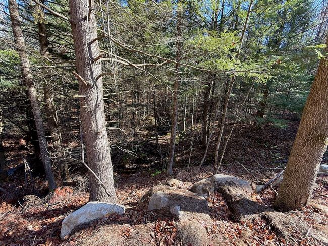 10281 Nys Route 9 N, Home with 0 bedrooms, 0 bathrooms and null parking in Keene NY | Image 9