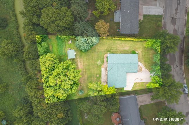 DJI_0223.jpg | Image 11