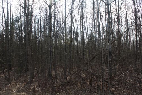 50XX S Maple Dr, POPLAR, WI, 54864 | Card Image