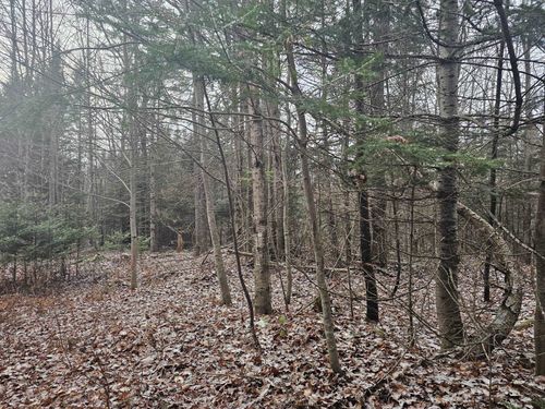 461 Hill Rd, Dummer, NH, 03588-5416 | Card Image