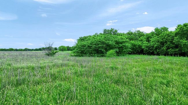 TBD - 0000 Bounds Rd, Home with 0 bedrooms, 0 bathrooms and null parking in Gunter TX | Image 18