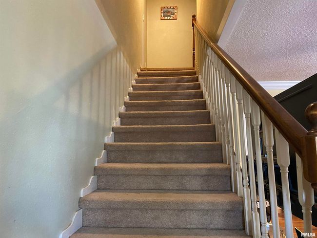 407 N Howard St, House other with 3 bedrooms, 3 bathrooms and null parking in Ava IL | Image 13