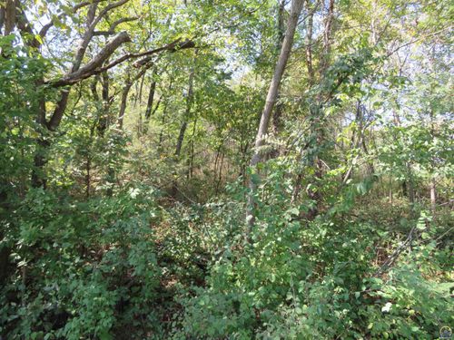 lots-26-and-27-0000 Crescent Rim Dr, Ozawkie, KS, 66070 | Card Image