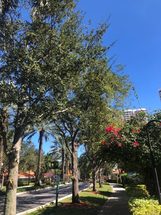 APT-1711 - 3530 Mystic Pointe Dr, Condo with 2 bedrooms, 2 bathrooms and null parking in Aventura FL | Image 16