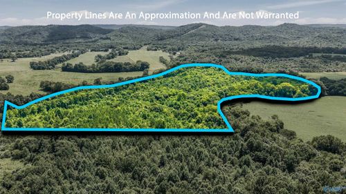 70 acres County Road 283, Collinsville, AL, 35961 | Card Image