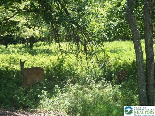 197 Hickory Run Ln, Jim Thorpe, PA, 18229-3675 | Card Image