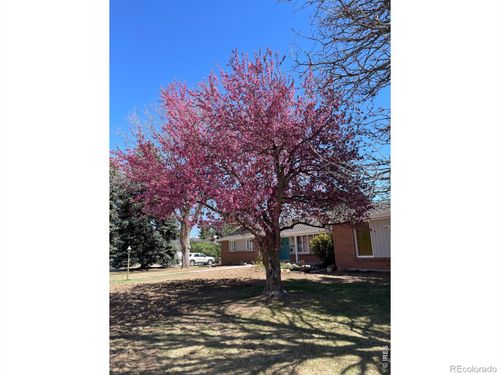 5860 Wood Sorrel Dr, Littleton, CO, 80123-2762 | Card Image